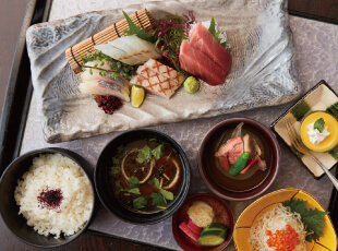 Odawara sashimi lunch